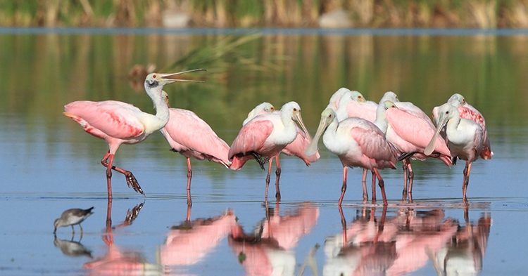 Outdoor Activities in the St. Augustine Area - Florida's Historic Coast